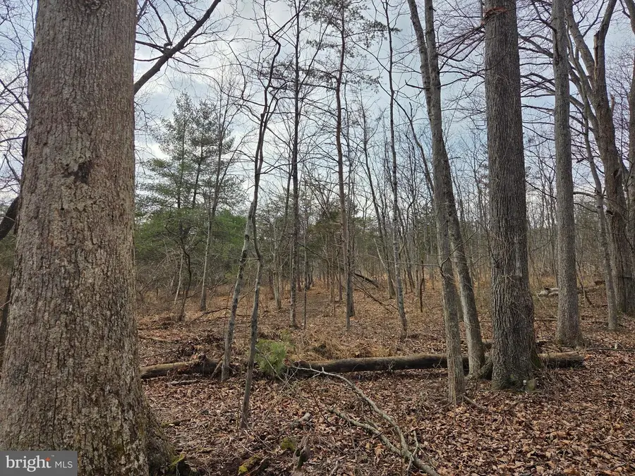 1237 Buckwheat Rd, Millerstown, PA 17062 - #2