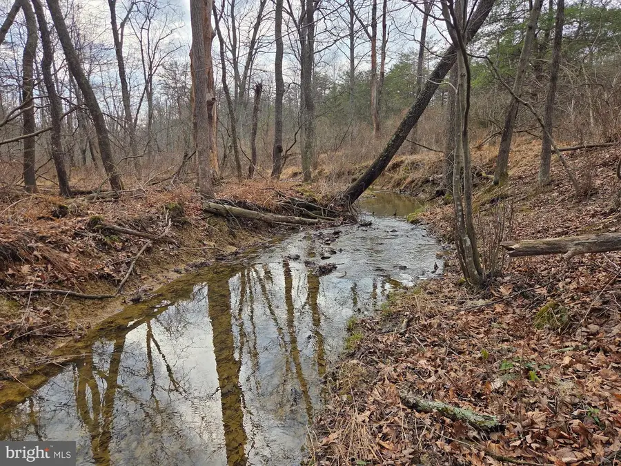 1237 Buckwheat Rd, Millerstown, PA 17062 - #3