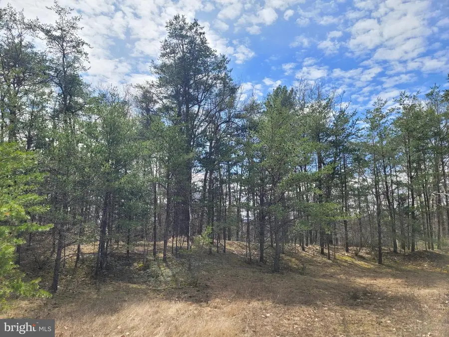 Sulphur Springs Rd, Duncannon, PA 17020 - #3