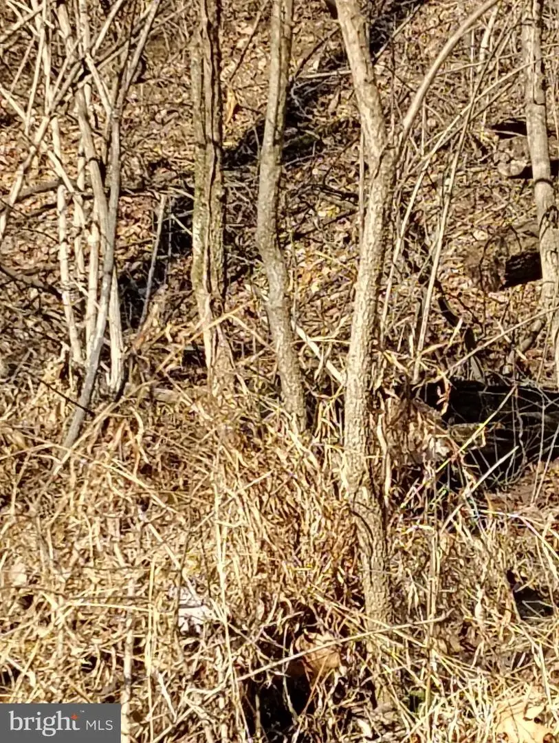 Lot 2 Kistler Rd, Elliottsburg, PA 17024 - #2