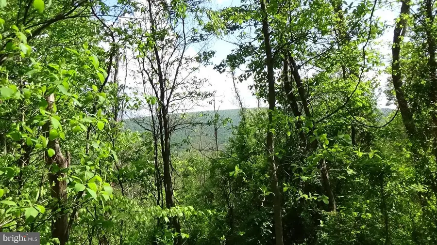 0 Valley View Dr, Landisburg, PA 17040 - #2