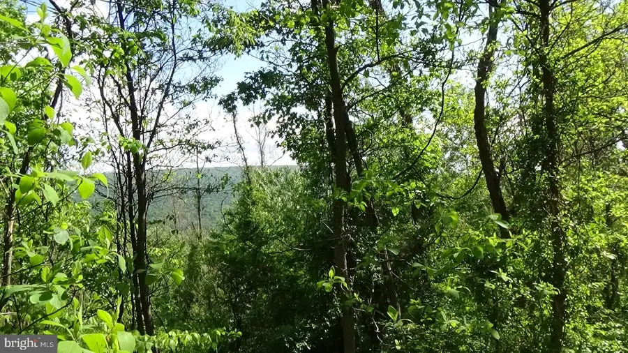 0 Valley View Dr, Landisburg, PA 17040 - #3