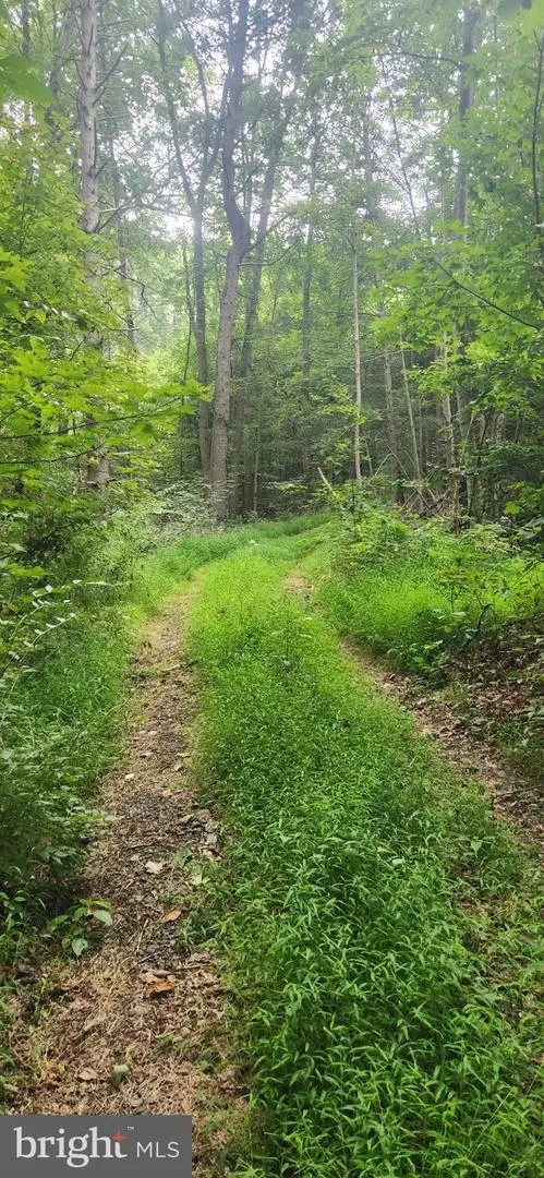 Lot 1 Juniata Furnace Ln, Newport, PA 17074 - #3