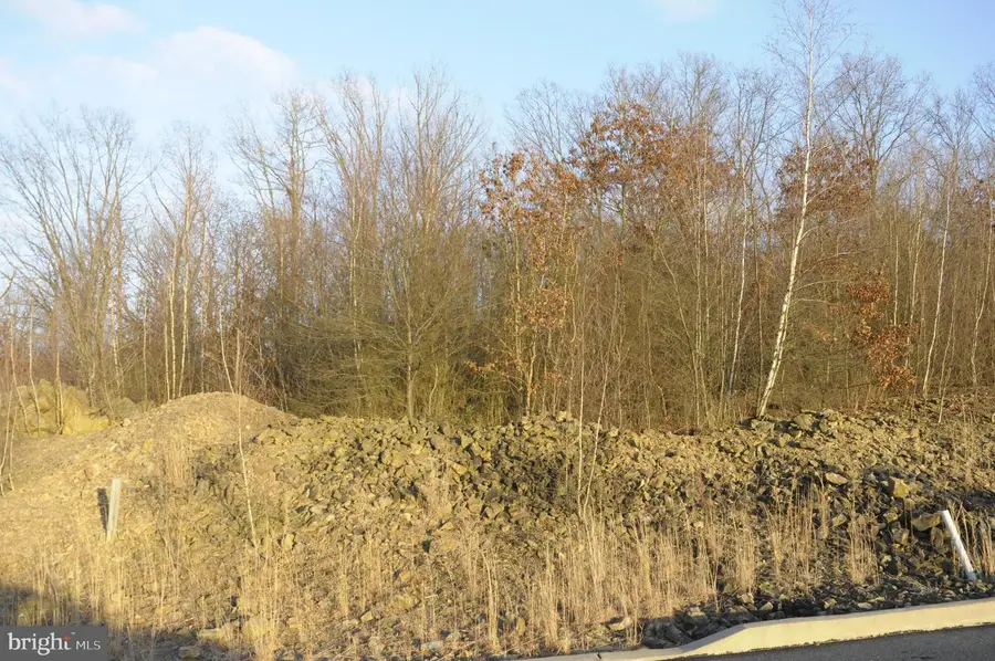 0 - Lot 10 Elmwood Ct #10, Saint Clair, PA 17970 - Image #2