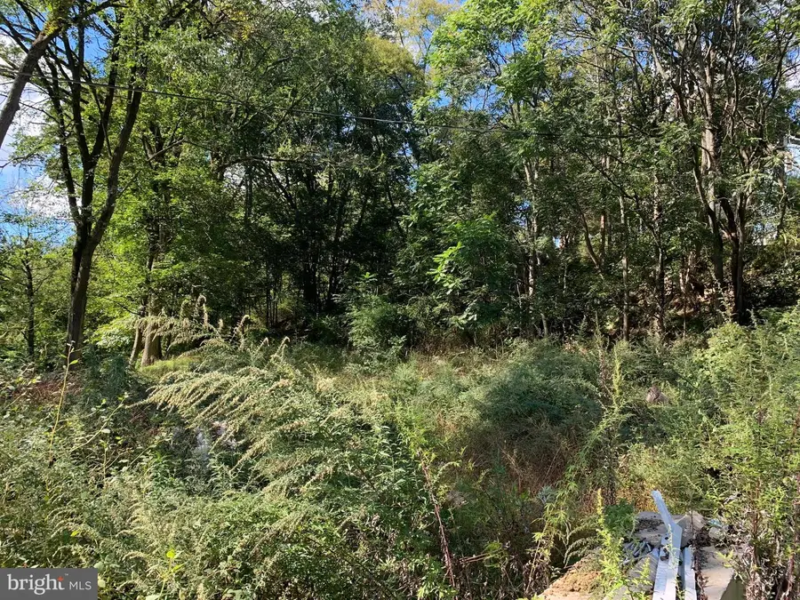 0 Lake St, Schuylkill Haven, PA 17972 - Image #2