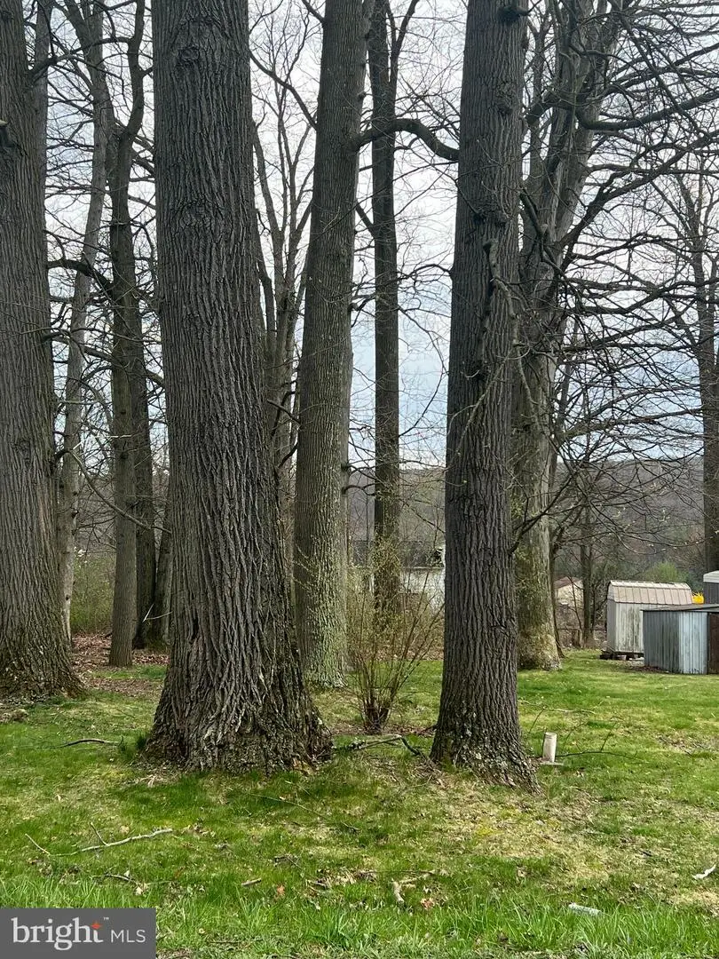 0 Maple St, Tower City, PA 17980 - Image #2