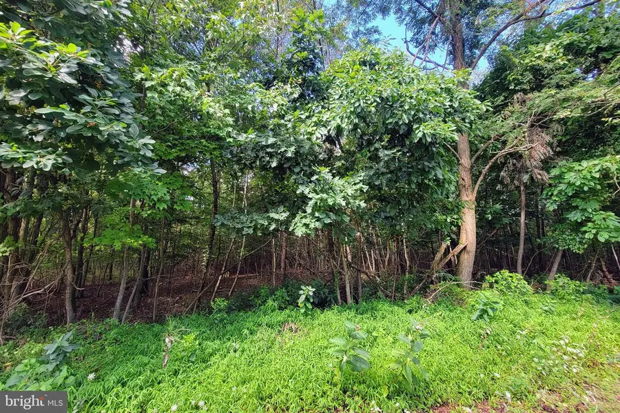 0 Whitetail Crossings Rd, Tamaqua, PA 18252 - Image #3