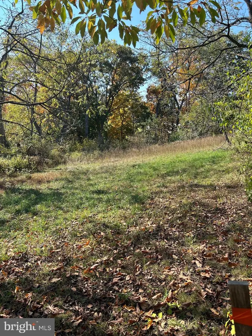 988 Horseman Dr, Auburn, PA 17922 - Image #2