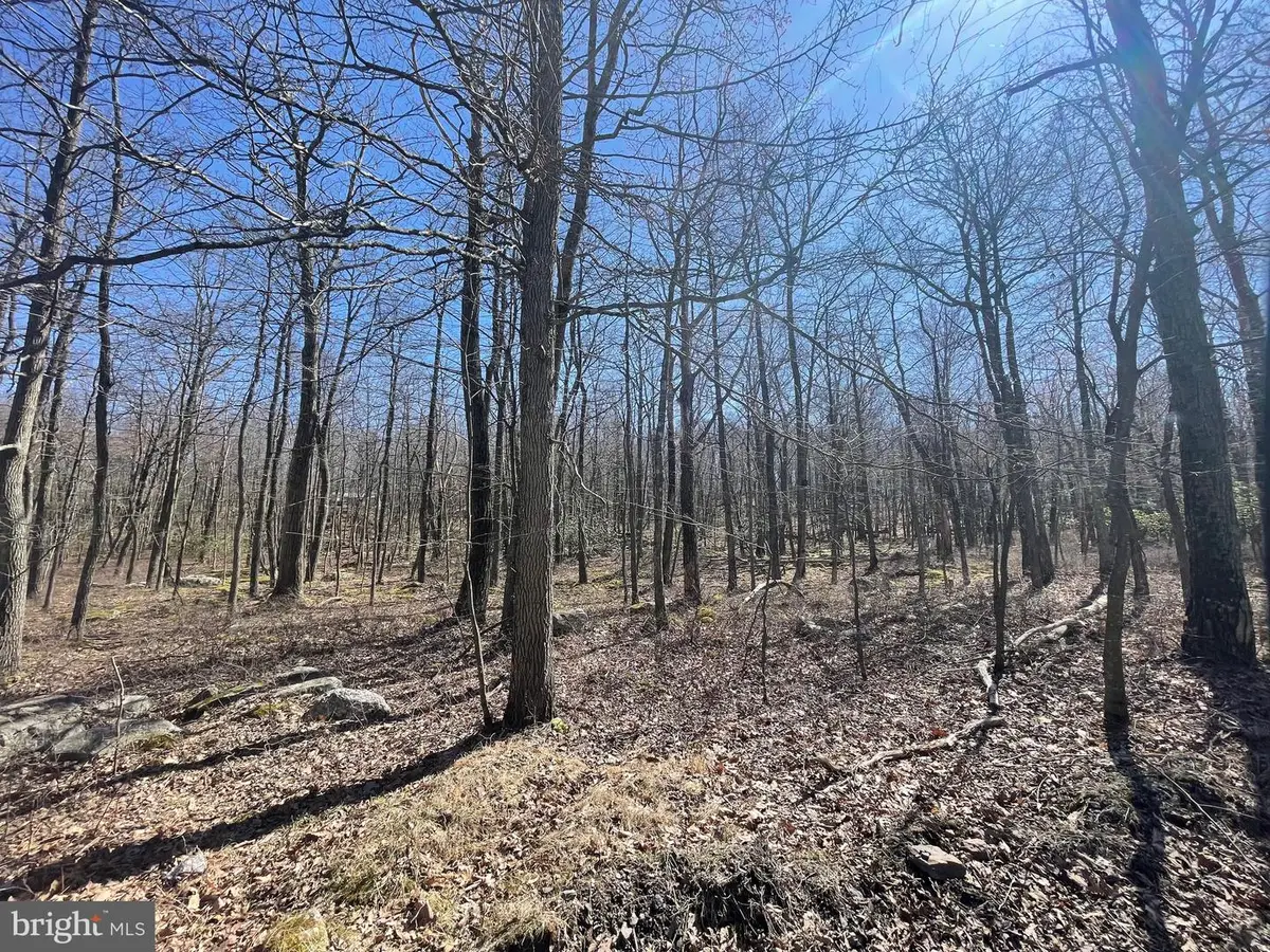 556-557 Haystack Dr, Zion Grove, PA 17985 - Image #1