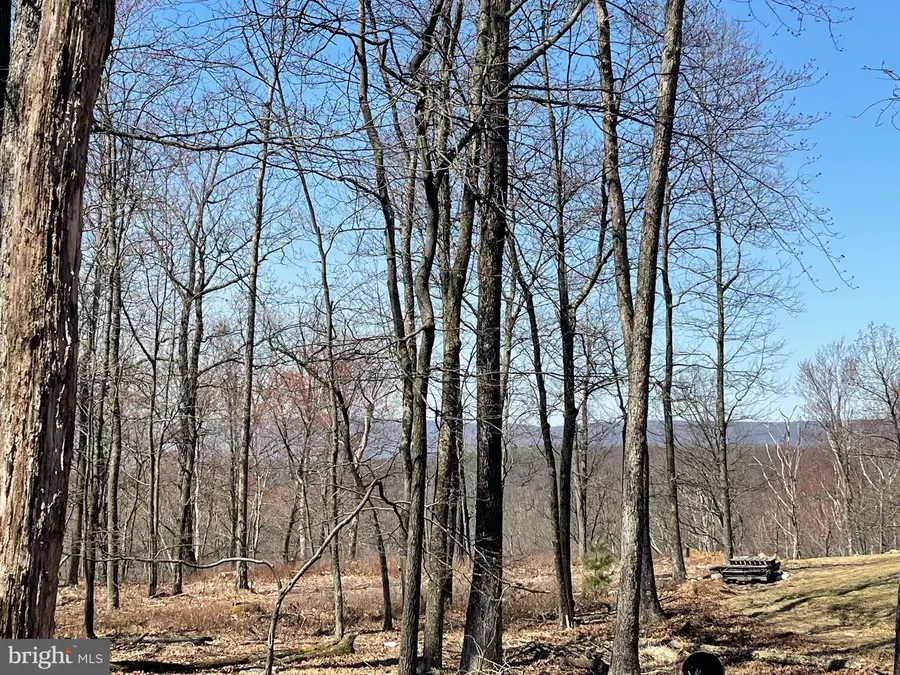 2 Princess Drive, Zion Grove, PA 17985 - Image #2