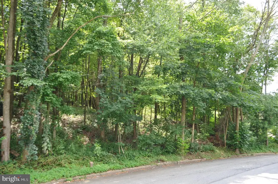 0 Mahantongo Dr, Pottsville, PA 17901 - Image #3