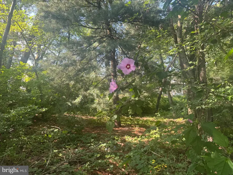 0 W Garfield Ave, Frackville, PA 17931 - Image #3