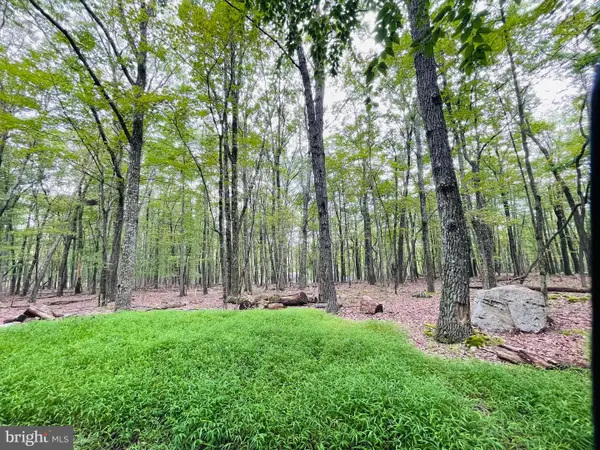 357 White Face Circle, ZION GROVE, PA 17985