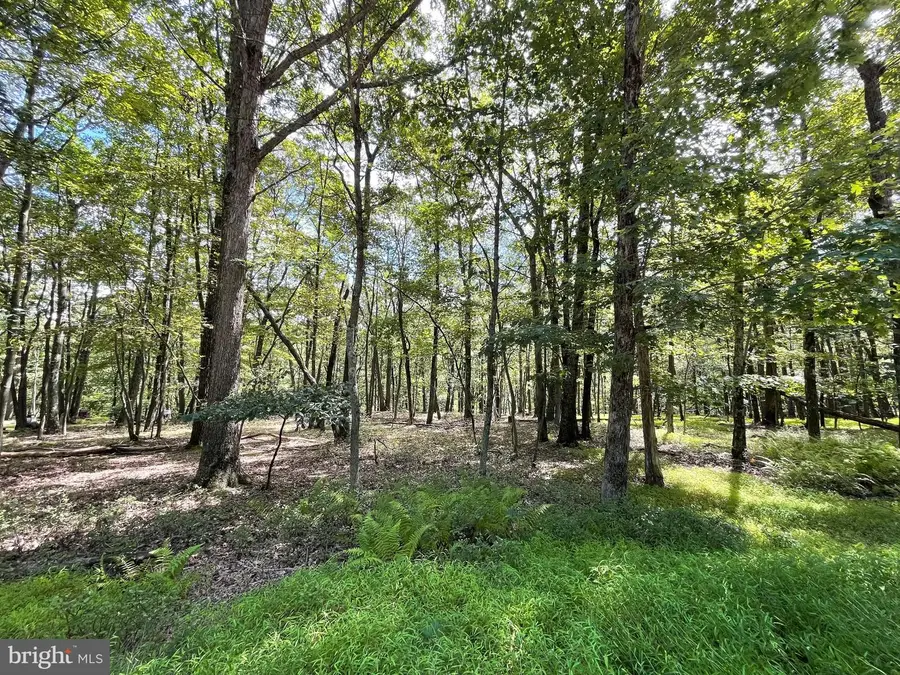 117 Spring Mountain Dr, Zion Grove, PA 17985 - Image #2