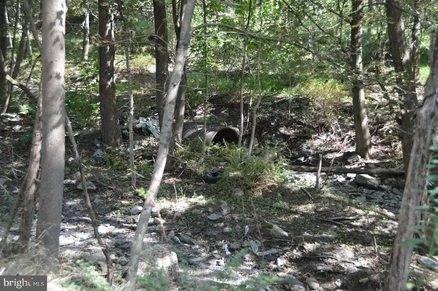 0 S Reading Railroad, Shenandoah, PA 17976 - Image #3