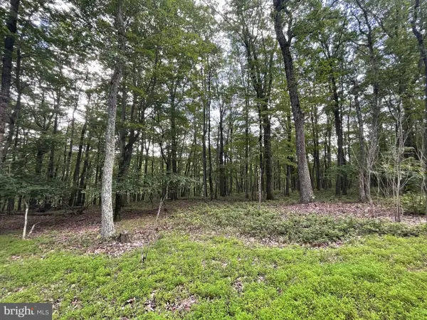 124 Spring Mountain Drive, ZION GROVE, PA 17985