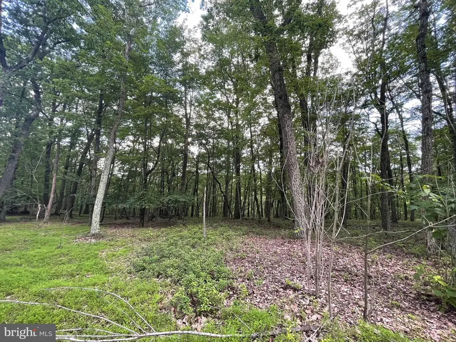 124 Spring Mountain Drive, Zion Grove, PA 17985 - #3