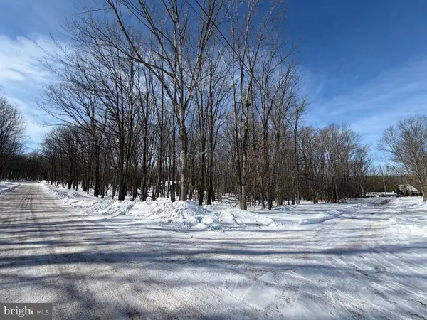 78 Saint Moritz, ZION GROVE, PA 17985