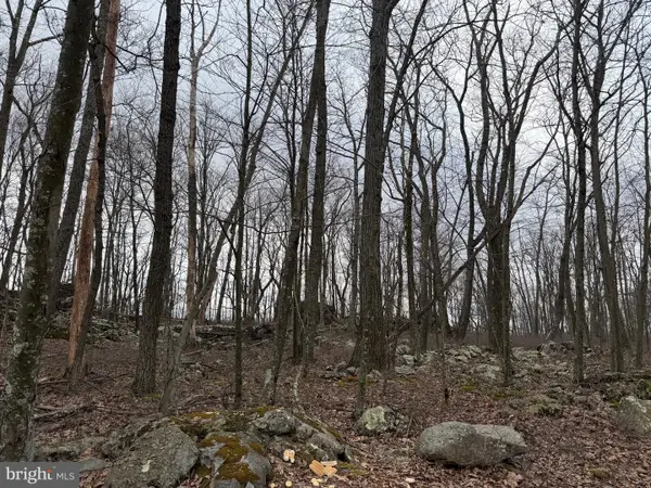 Lot 287.1 Spring Mountain Dr, ZION GROVE, PA 17985