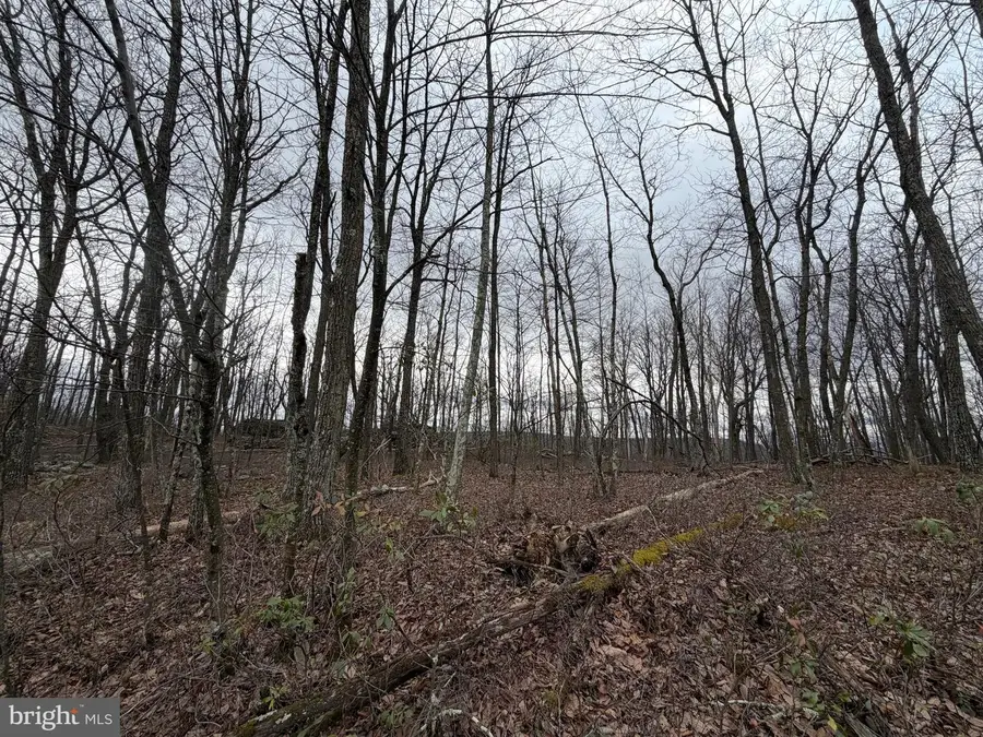 Lot 287.1 Spring Mountain Dr, Zion Grove, PA 17985 - #2