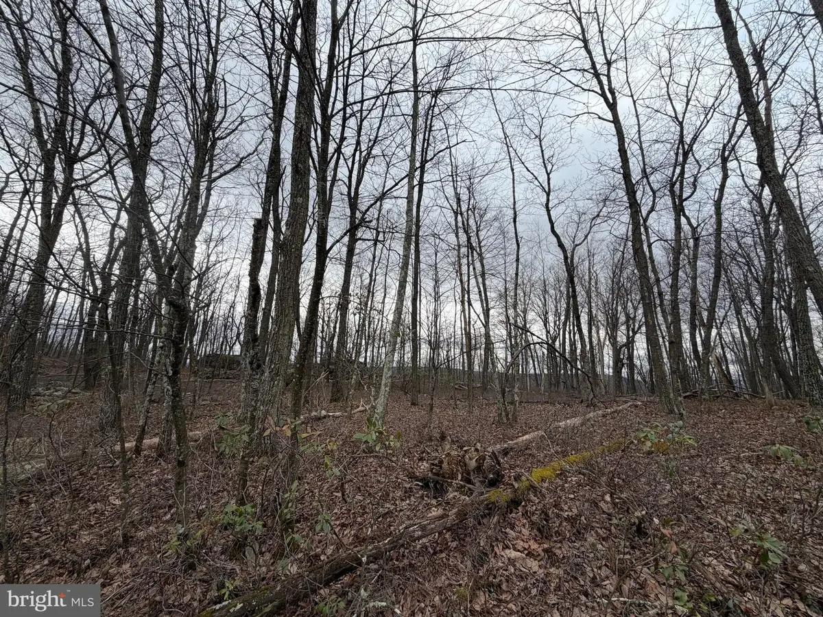 Lot 287.2 Spring Mountain Dr, Zion Grove, PA 17985 - #1