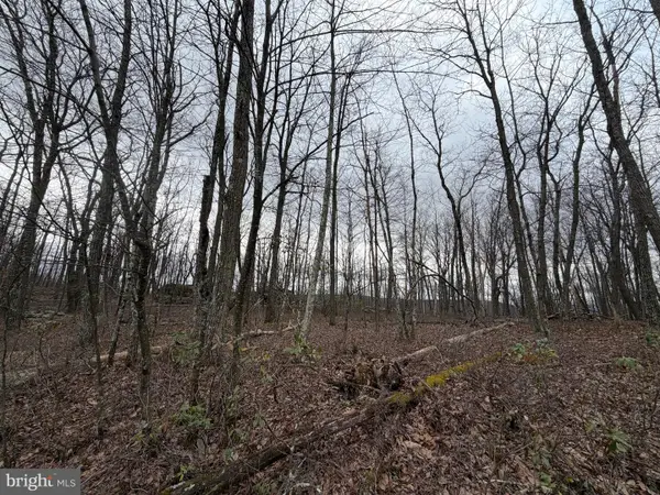 Lot 287.2 Spring Mountain Dr, ZION GROVE, PA 17985