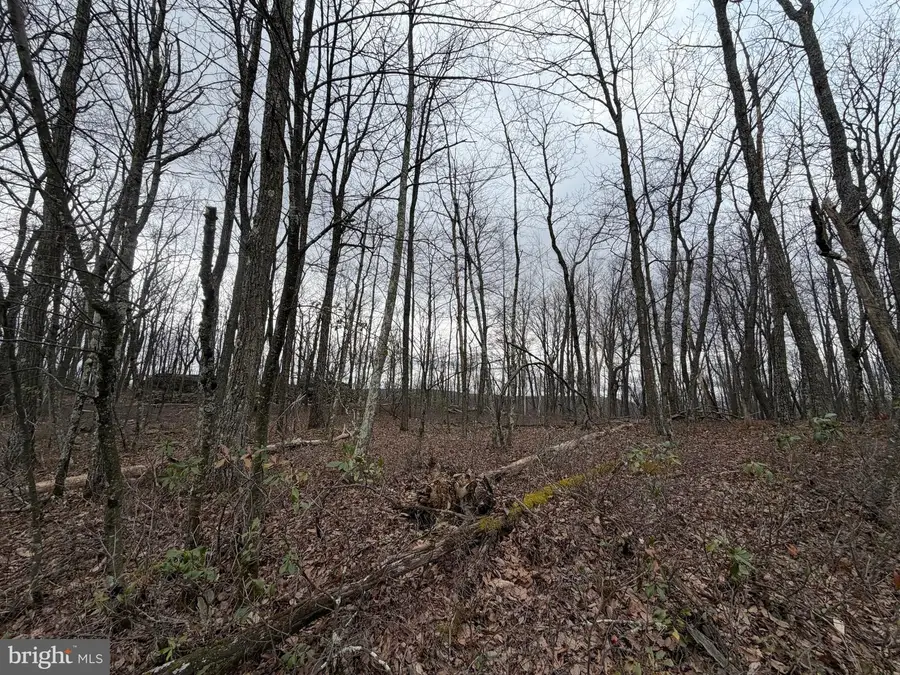 Lot 287.2 Spring Mountain Dr, Zion Grove, PA 17985 - #2