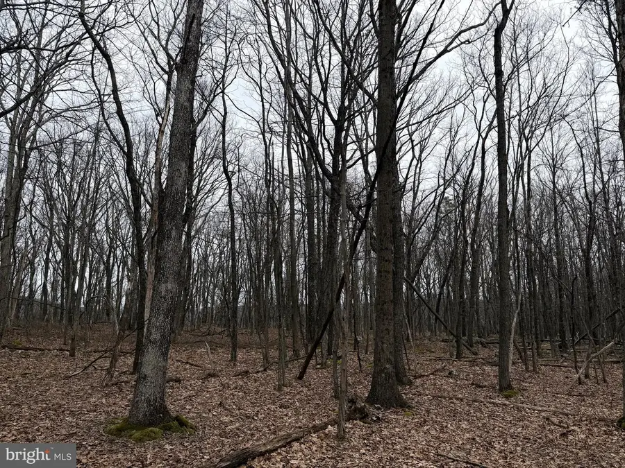 519 Haystack Dr, Zion Grove, PA 17985 - #3