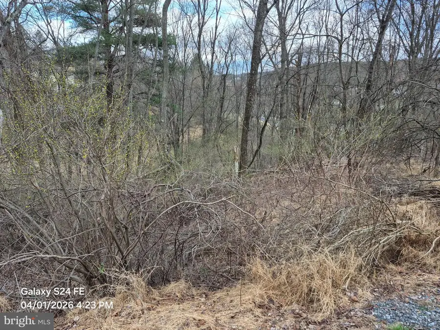 988 Horseman Dr, Auburn, PA 17922 - #2