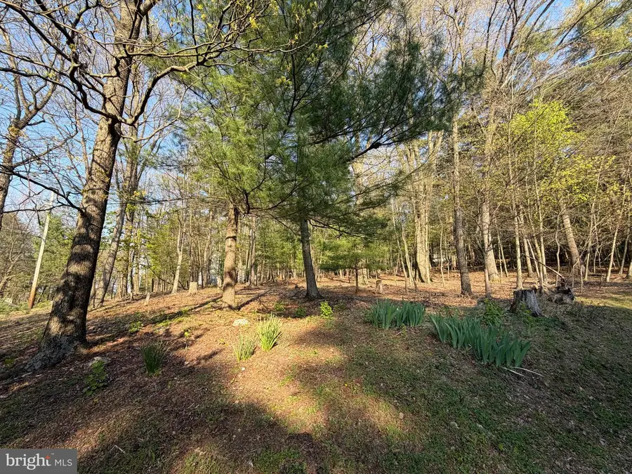 2377 Stallion Dr, Auburn, PA 17922 - #3