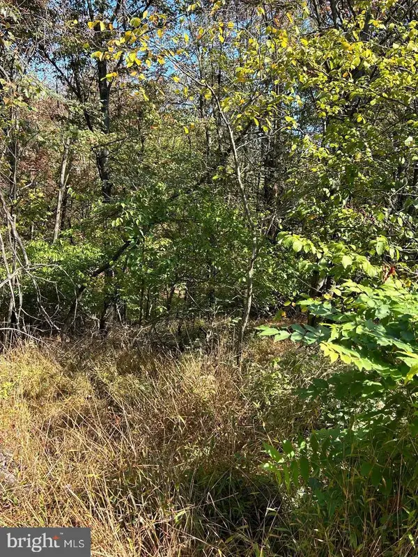 906 Wynonah Dr, AUBURN, PA 17922