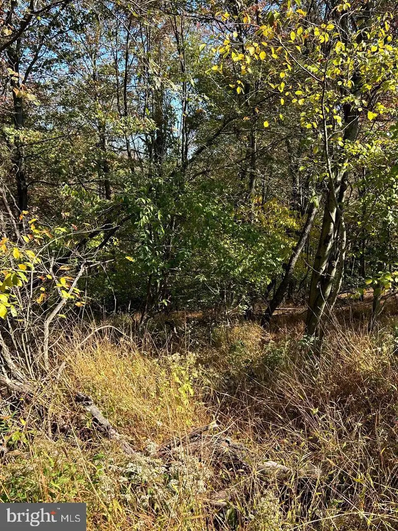 906 Wynonah Dr, Auburn, PA 17922 - #2