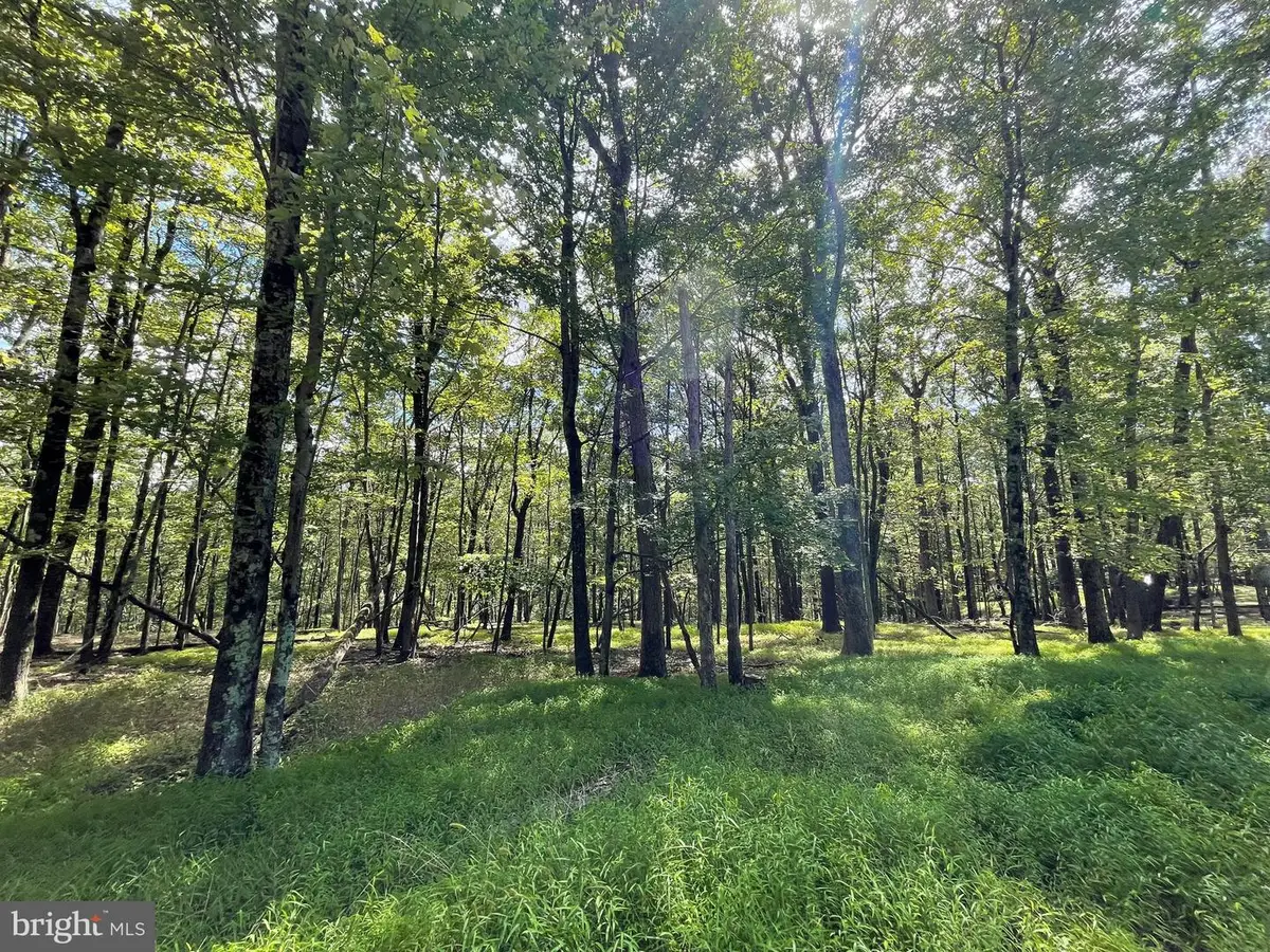 117 Spring Mountain Dr, Zion Grove, PA 17985 - #1
