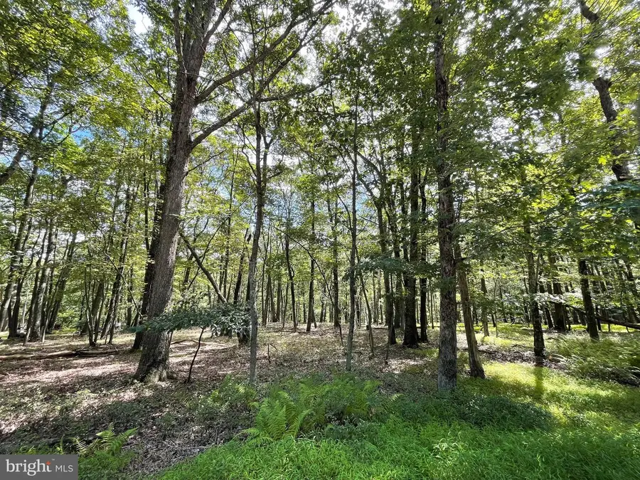 117 Spring Mountain Dr, Zion Grove, PA 17985 - #3
