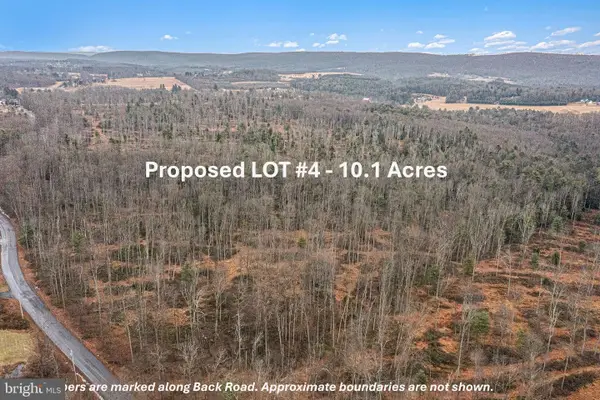 Lot 4 Back Rd S, BARNESVILLE, PA 18214