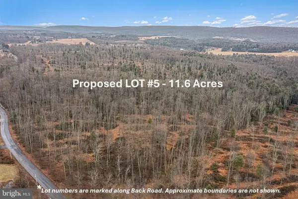 Lot 5 Back Rd S, BARNESVILLE, PA 18214