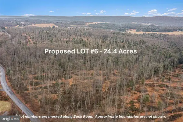 Lot 6 Back Rd S, BARNESVILLE, PA 18214