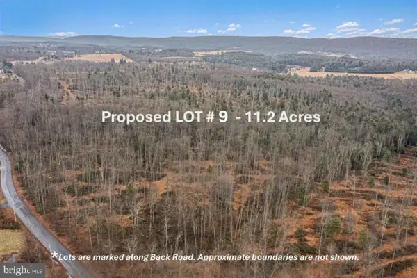 Lot 9 Back Rd S, BARNESVILLE, PA 18214