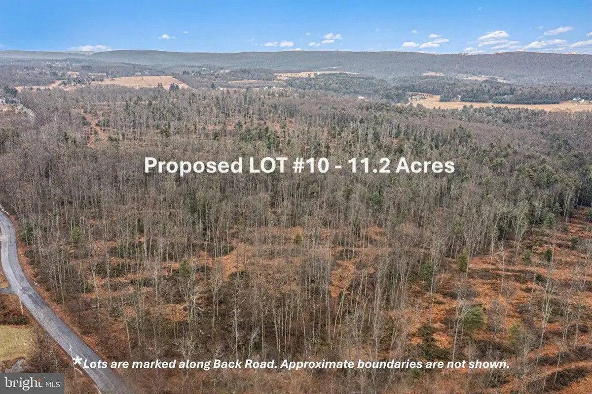 Lot 10 Back Rd S, Barnesville, PA 18214 - #1