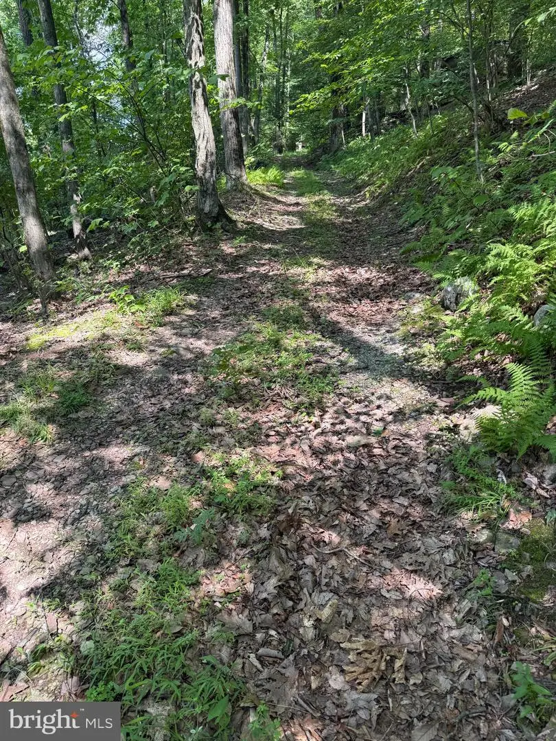 0 Hauto, Nesquehoning, PA 18240 - #2