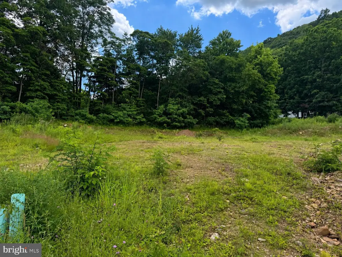 133 & 135 Willow Street, Gordon, PA 17936 - #1