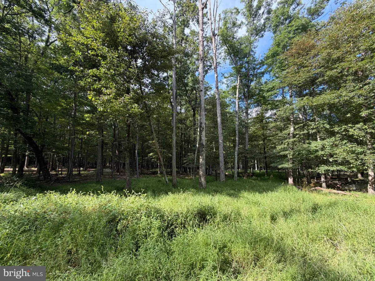 507-508 Haystack Dr, Zion Grove, PA 17985 - #1