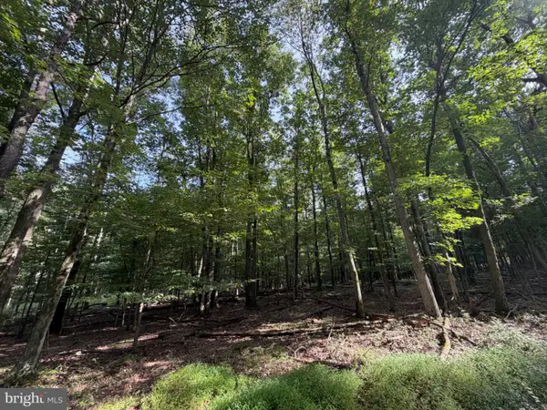 377 Davos Circle, ZION GROVE, PA 17985