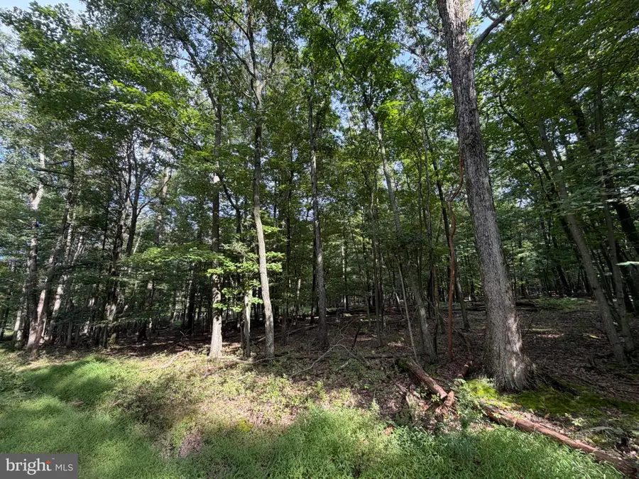 377 Davos Circle, Zion Grove, PA 17985 - #2