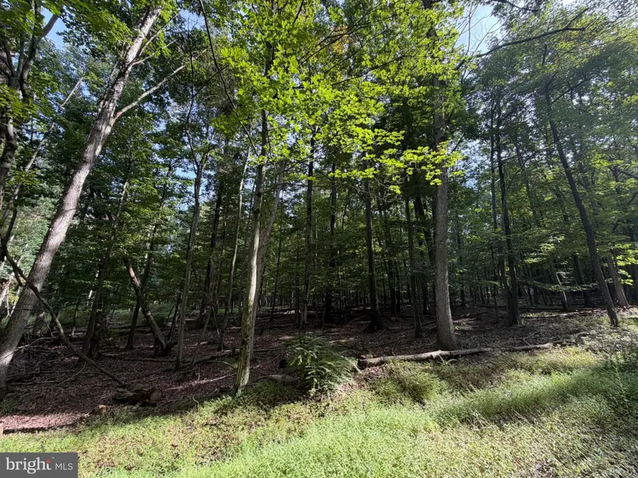 377 Davos Circle, Zion Grove, PA 17985 - #3