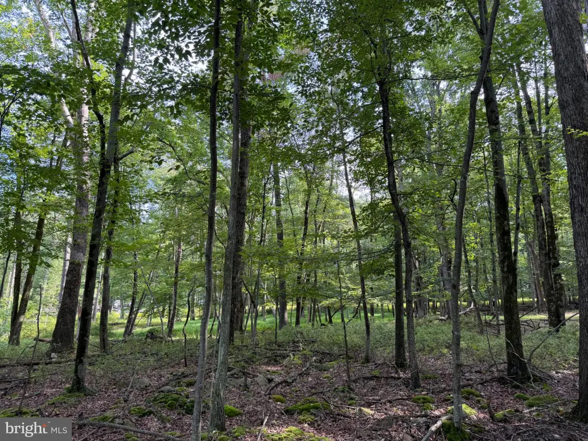 442 Haystack Drive, Zion Grove, PA 17985 - #1