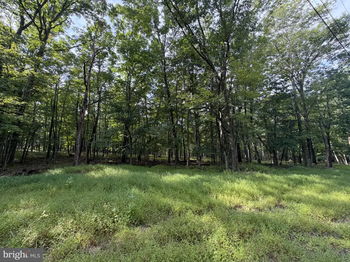 403 Davos Circle, Zion Grove, PA 17985 - #1