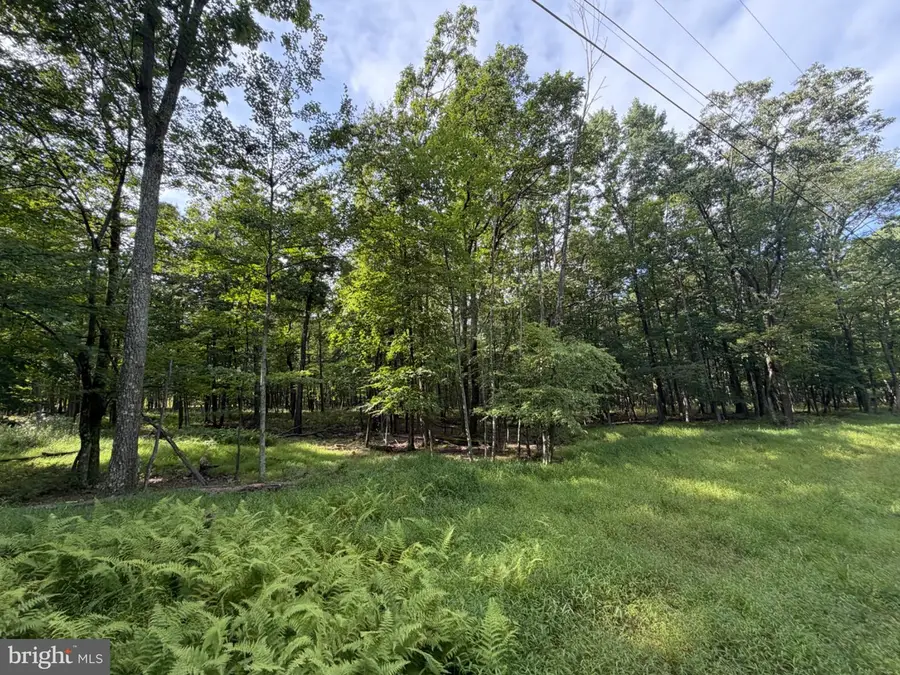 403 Davos Circle, Zion Grove, PA 17985 - #3