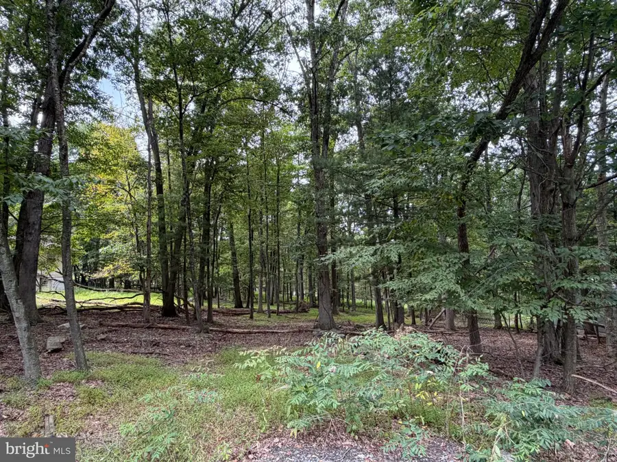 390 Blackhawk Dr, Auburn, PA 17922 - #2