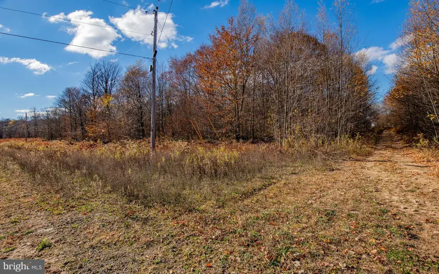Parcel 030 Glory Ridge Rd, Shunk, PA 17768 - Image #2